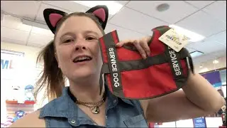 Surprise Service Dog Vest | CeleBEARate Pay Your Age Day | Build-A-Bear Workshop