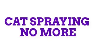CAT SPRAYING NO MORE