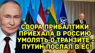 Свора Прибалтики приехала в Россию умолять о транзите - Путин ПОСЛАЛ в Евросоюз!