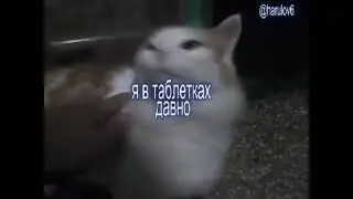 haru - город(prod.sw!tchboy) 