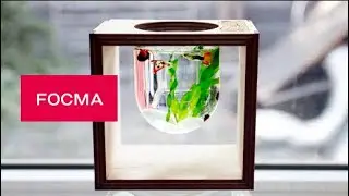DIY Light Bulb Aquarium