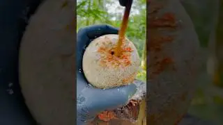 Woodapple pickle 😲🤤 #shorts