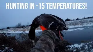 WATERFOWL HUNTING IN A POLAR VORTEX!  -15 DEGREES!   PUBLIC LAND DUCK HUNTING (THROWBACK)