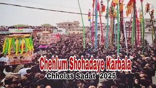 20 Safar Chholas Sadat 2025 || Azadari Chholas ||