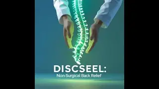 Discseel V1