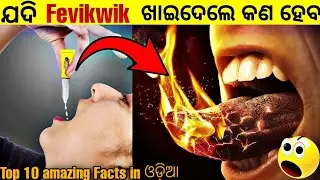 Top 10 Amazing Facts in Odia || Top10 Random Facts in Odia || By odia facts & information ।