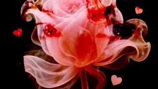 La vie en 🌹 cover 