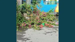 The Bonifacio Street