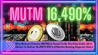 Why Mutuum Finance (MUTM) Is Poised To Be The Only Under $0.5 Altcoin To Deliver 16,490% ROI