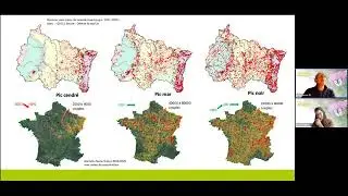 &Eacute;volution des populations de Pic cendr&eacute;, Pic mar et Pic noir dans le Grand Est