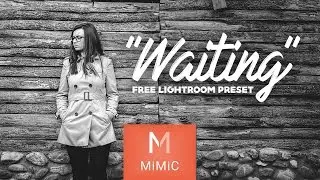 Free Lightroom Preset 