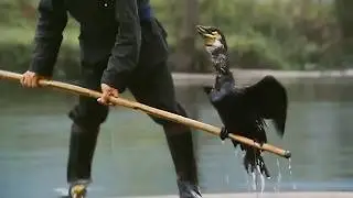 The Lords of the Animals | 5 Hours of Incredible Human&ndash;Animal Bonds