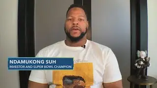 Financial literacy needs to be taught in schools: Ndamukong Suh