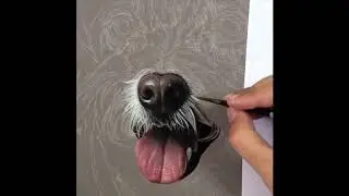 Dog Portrait Painting with Pastel Products by Ivan Hoo