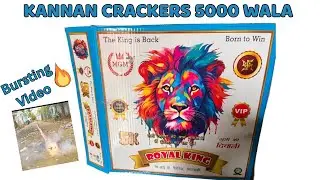  🔥Bursting 5000 Wala Crackers by Kannan Crackers | Ultimate Diwali Fireworks Show