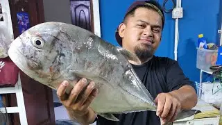 ikan Putih GT Dan Barakuda 