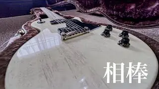 これはレビューじゃありません。新しいギターを迎えました。