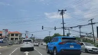 Liquanea Jamaica