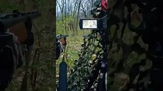 Спокойная походка &mdash; финал близок #huntinglife #hunting