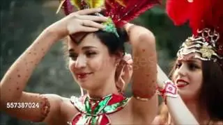 Sambalkinhas, plesna grupa karnevalske sambe iz Novog Sada, Samba no P&eacute;