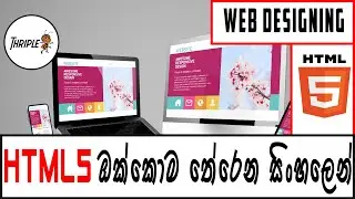 HTML & CSS Web Designing 01 - HTML5 Complete Course - Sinhala