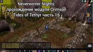 Neverwinter Nights: прохождение модуля Crimson Tides of Tethyr часть 16