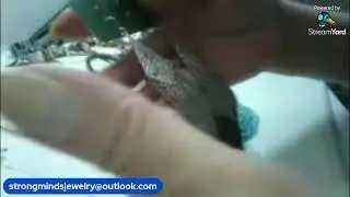 JEWELRY  SORT  CHAT AND CLEARANCE
