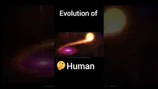 Evolution of humans|#timelapse #science #fiction