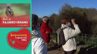20 11 21 Ruta de 