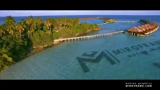 MIROFRAME - Underwater Logo