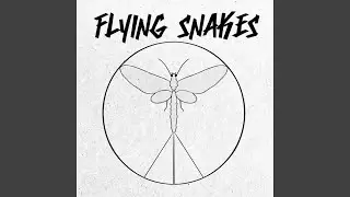 Flying Snakes
