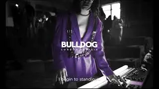 Begin Bold - Story Digital Artist 6