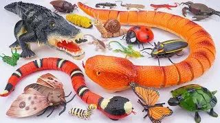 ZURU ROBO ALIVE COLLECTION | UNBOXING Robo Crocodile, Robo Snake, Butterfly & Insect Review ASMR