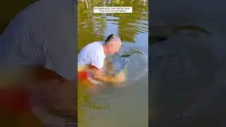 From Strangers to Friends &ndash; Watch This Bond #fish #fishing #pets #animals #wildlife #rescue #love