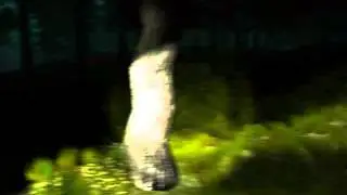 Да шо с тобой