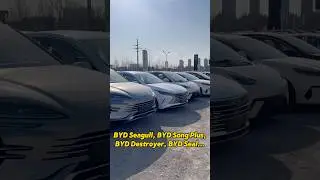 If you want to import BYD cars, pls contact us. #carexport #chinesecar #bydseagull #dubai #jordan