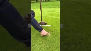Seeding bare areas on golf green.  #golf #golflife #golfclub #youtube #youtubeshorts #youtubevideo