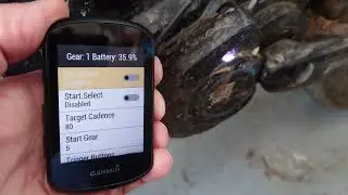 Pinion Smart.Shift settings app for Garmin