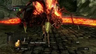 Dark Souls 1 - All Bosses No Hit