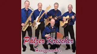 P&auml;lzer Woi is gut (2024 Remastered)