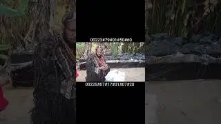 00223 79015060  /00225 0717010720