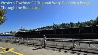 On Thursday May 1st I Saw a Western Towboat CO Tugboat Push a Barge Through the Boat Locks