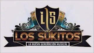 LOS SUKITOS DE AMBATO MIX SOLO EXITOS VOL.1 CONTRATOS: 0998060421-0998463811-032425460