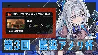 【スプラトゥーン３/エンジョイ勢】第3回 藍染アメリ杯に向けてオカシラゲージ溜めと野良修行サーモンラン【藍染アメリ/個人Vtuber】