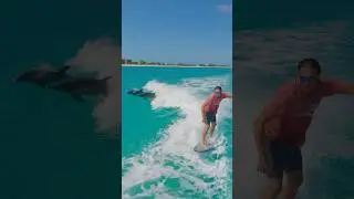 Amazing Wakesurfing Dolphins: Epic Experience #shorts #amazing #viralshorts