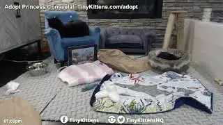 TKmain 10 14 2018  21 56 37 to PST