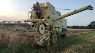 Combining spring oats with 1967 New Holland Clayson M135