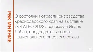 Состояние отрасли рисоводства Кубани в конце 2023 года || РБК Мнение
