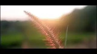 Nature's Majesty - Greenery, Sea, and Mountains #4KBeauty#SeaAndMountains #BreathtakingViews
