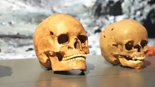 GRABRAUB - Spurensuche durch die Jahrtausende